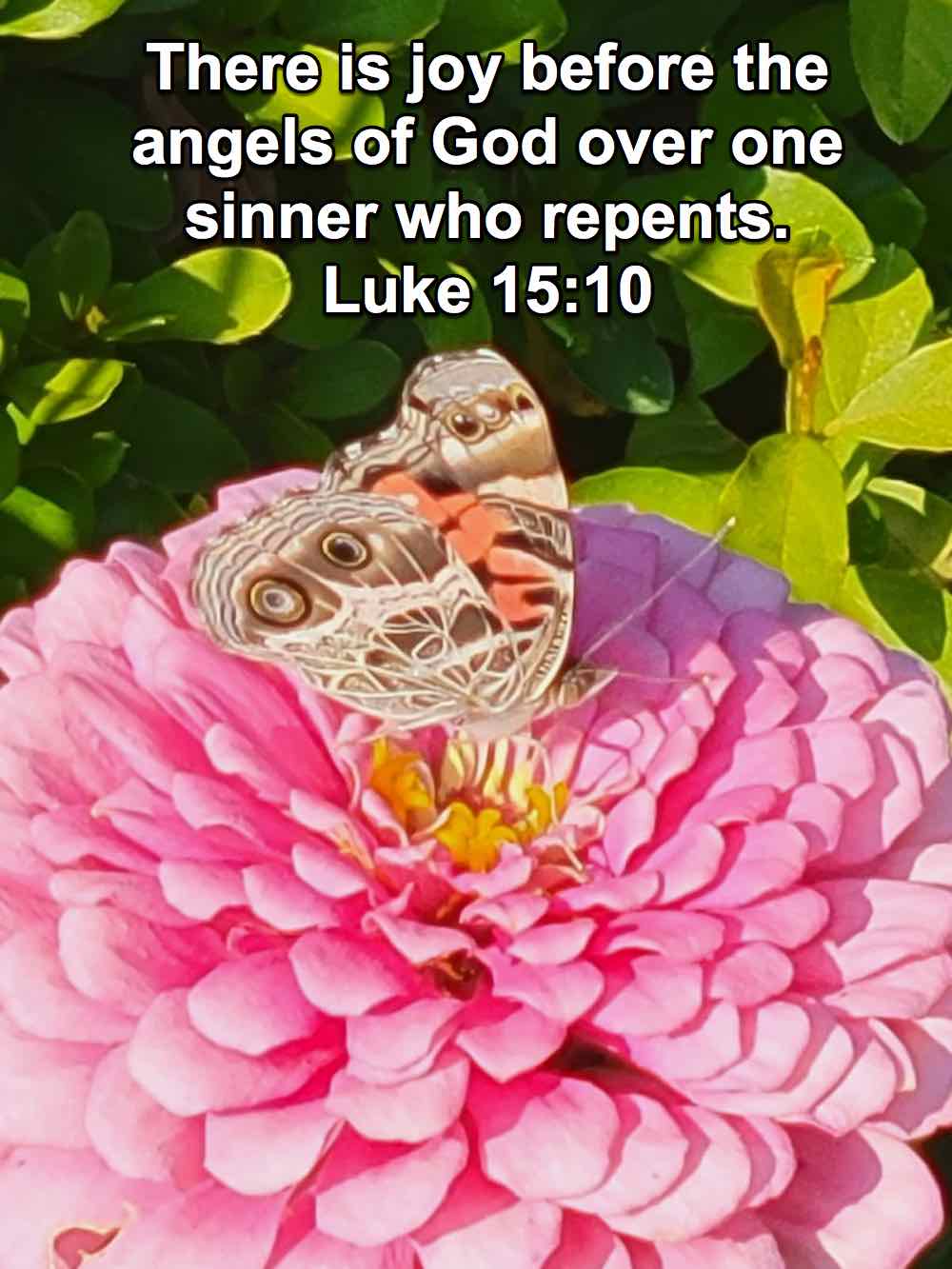 Luke 15:1-10 – Winnipeg Bible Students